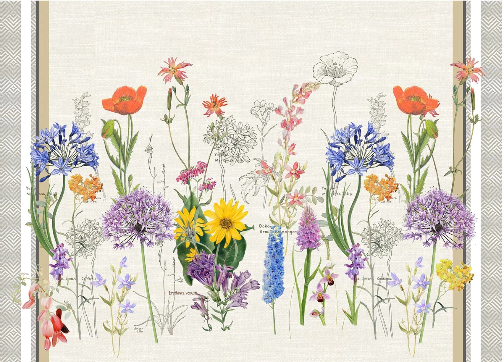 Kookschort 13 Kookschort - Afbeelding 13