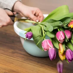 Keeeper Mengkom Camilla Stapelbaar (set, 4-delig) -Kookcentrum keeeper mengkom camilla stapelbaar set 4 delig blauw 7